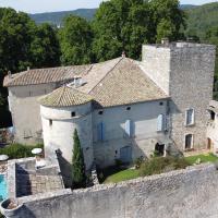Chateau vue aérienne 